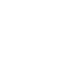 Professional Team